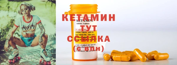 шишки Чердынь