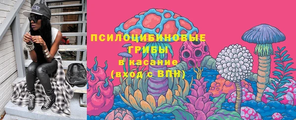соль ск Горнозаводск