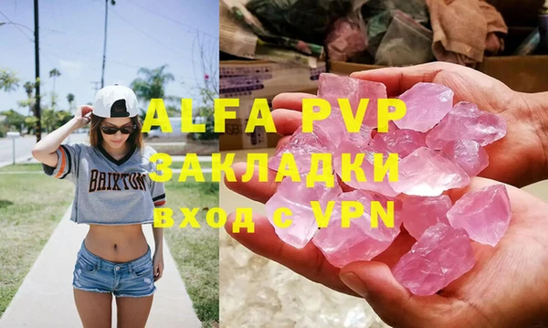 шишки Чердынь