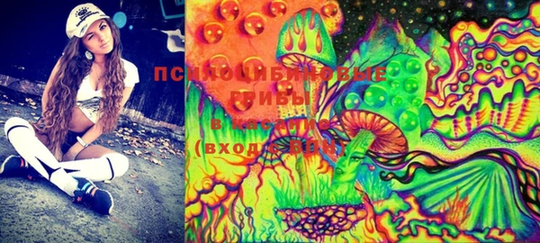 марки lsd Гусиноозёрск