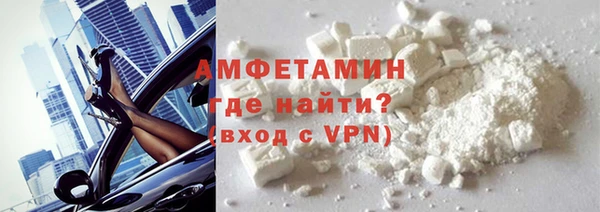 шишки Чердынь