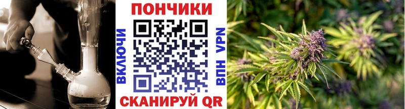 Канабис план  Купить закладки  Курильск 